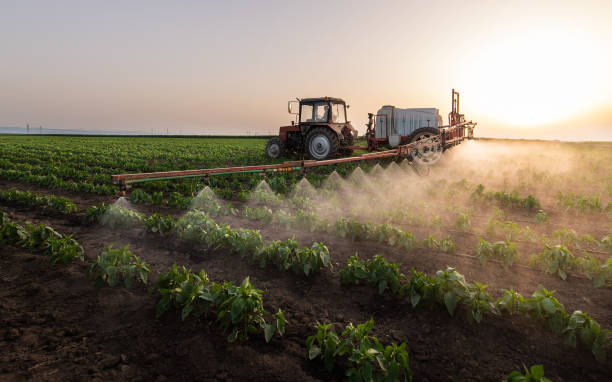 Best Pest Inspection Near Me  in Farmington, NM