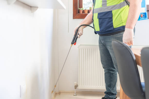 Best Wasp Removal Services  in Farmington, NM