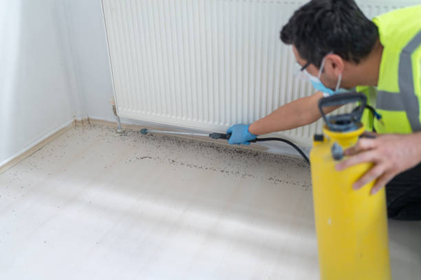 Best Pest Inspection Near Me  in Farmington, NM