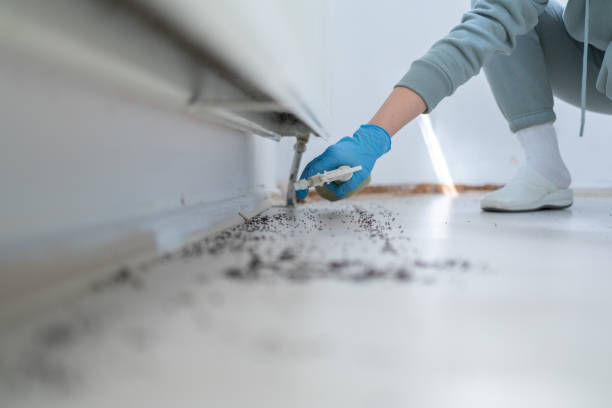 Best Best Pest Control Companies  in Farmington, NM